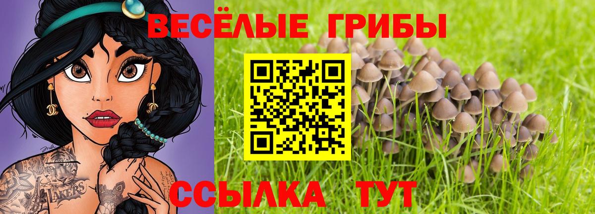 Железноводск  купить наркотик  Вход с VPN  Галлюциногенные грибы Cubensis  Псилоцибиновые грибы Psilocybine cubensis 